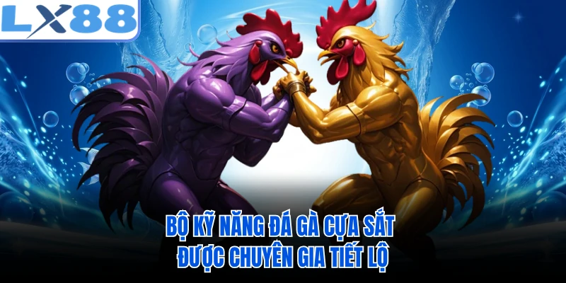 Bộ kỹ năng đá gà cựa sắt được chuyên gia tiết lộ