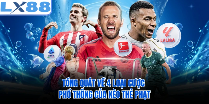 Tổng quát về 4 loại cược phổ thông của kèo thẻ phạt